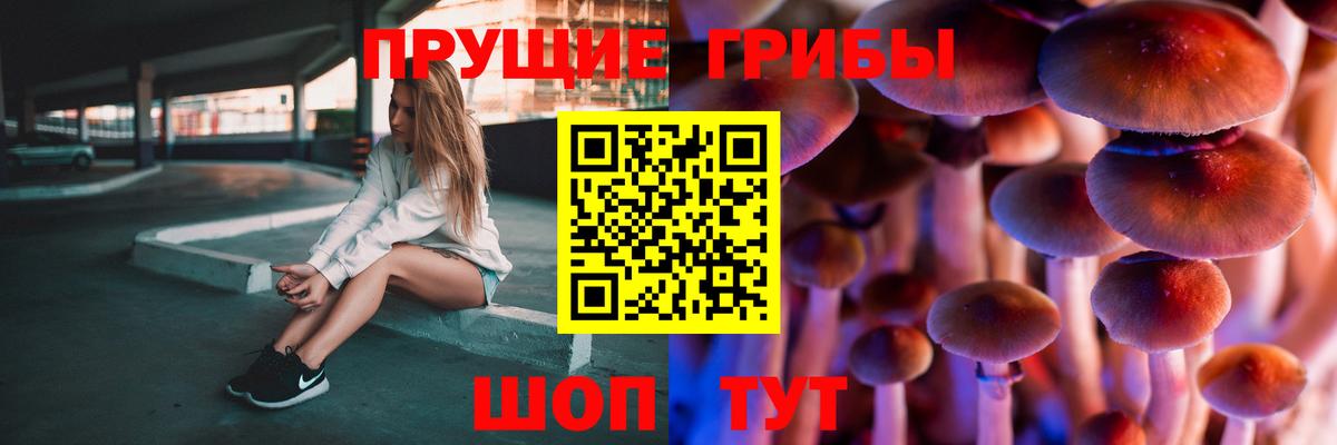 Псилоцибиновые грибы ЛСД  Галлюциногенные грибы Cubensis  сколько стоит  Вход с VPN  Прохладный 