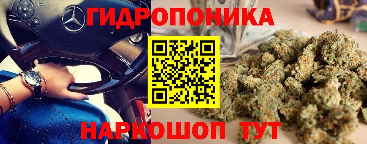 Бошки марихуана SATIVA & INDICA Прохладный